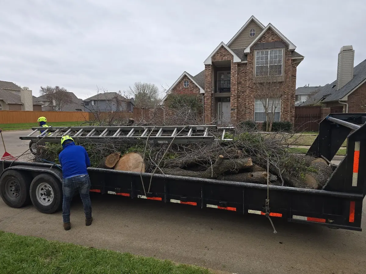 Expert Tree Fertilization with proper safety equipment in Puckett
